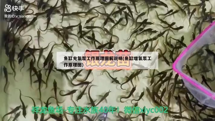 黑云魚(yú)養(yǎng)殖溶氧設(shè)備選擇，黑云魚(yú)養(yǎng)殖溶氧設(shè)備的選擇 觀賞魚(yú)市場(chǎng)（混養(yǎng)魚(yú)） 第2張