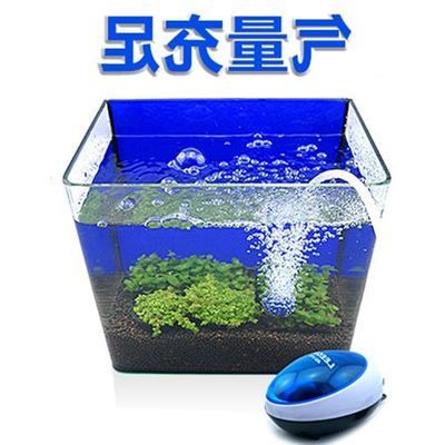 魚缸增氧機(jī)不增氧了是什么情況，如何正確維護(hù)魚缸增氧機(jī) 魚缸百科 第4張