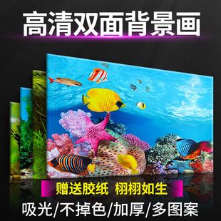 魚缸背景圖 3d高清圖片，3d高清的魚缸背景圖 魚缸百科 第1張