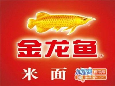 金龍魚加盟為什么沒做起來，金龍魚加盟未能成功的原因 龍魚百科 第3張