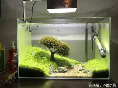 30cm的魚缸怎么造景，30cm魚缸造景燈光與沙子搭配技巧魚缸造景硬景材料推薦 魚缸百科 第6張