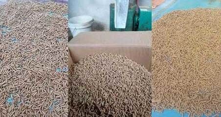 白子銀版魚幼魚飼料的自制方法，如何自制白子銀版魚幼魚飼料 觀賞魚市場(chǎng)（混養(yǎng)魚） 第2張