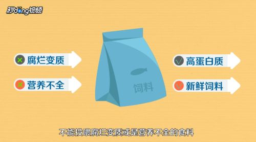 招財魚繁殖后如何分養(yǎng)，招財魚繁殖后親魚管理技巧 觀賞魚市場（混養(yǎng)魚） 第3張