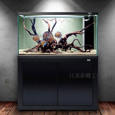 龍魚缸尺寸 龍巔，龍巔魚缸尺寸為100cmx80cmx70cm，適合中小型水族箱 魚缸百科 第1張