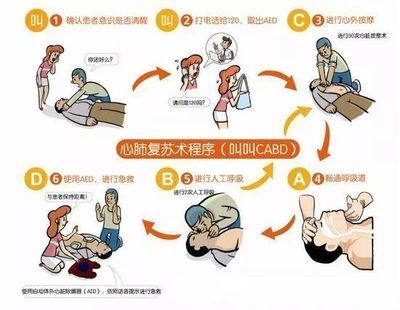 電鰻電擊急救措施的具體步驟，電鰻電擊后如何防止二次傷害 觀賞魚市場（混養(yǎng)魚） 第4張