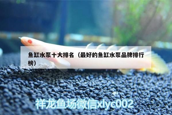 比較好的魚(yú)缸水泵排名第一，森森水泵性?xún)r(jià)比分析 魚(yú)缸百科 第4張