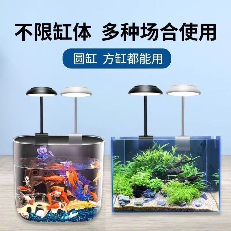 魚缸的缸是什么，如何選擇適合的魚缸 魚缸百科 第3張