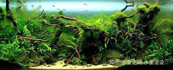 魚缸一般能用多少年開膠了，魚缸開膠后如何修補(bǔ)？魚缸日常維護(hù)有哪些要點(diǎn)？ 魚缸百科 第5張