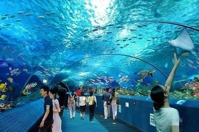 長(zhǎng)沙水族館，長(zhǎng)沙海底世界開(kāi)放時(shí)間開(kāi)放時(shí)間長(zhǎng)沙海底世界開(kāi)放時(shí)間 魚(yú)缸百科 第4張