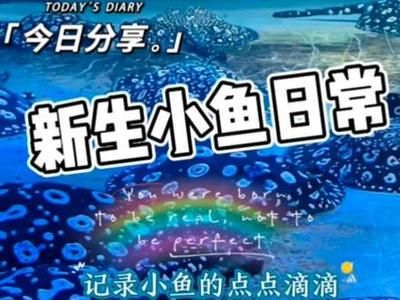 博世龍魚缸怎么樣，博世龍魚缸適合養(yǎng)哪些魚類 魚缸百科 第4張