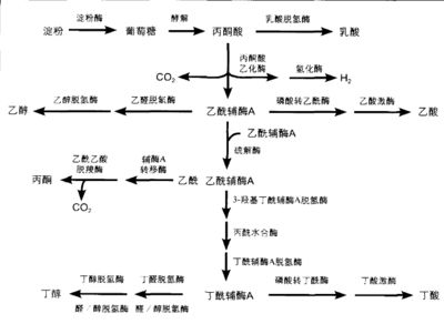 龍魚在缸里亂竄 水族問答