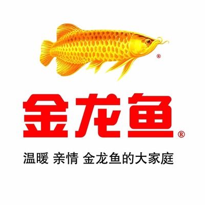 金龍魚質(zhì)量檢驗崗位，金龍魚質(zhì)檢員崗位晉升條件金龍魚質(zhì)檢員崗位晉升條件 龍魚百科 第3張