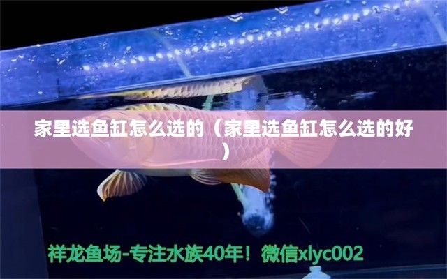 家用魚缸選哪種好用，家用魚缸的選擇 魚缸百科 第4張