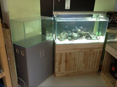 魚缸過濾棉品牌排行，魚缸過濾棉不同品牌過濾棉對比 魚缸百科 第6張