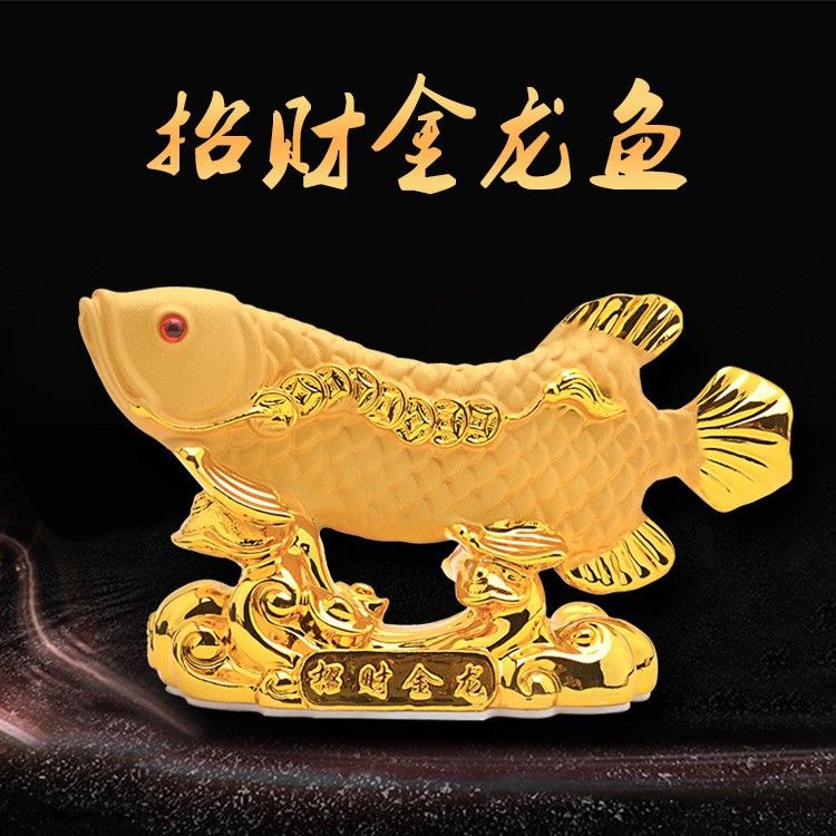 龍魚招財(cái)混養(yǎng)需要多長(zhǎng)時(shí)間才能繁殖呢，招財(cái)魚的性成熟周期是多久，龍魚招財(cái)混養(yǎng)常見問(wèn)題及解決 龍魚百科 第2張