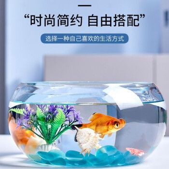 萌嘟星寵魚缸，萌嘟星寵魚缸智能功能介紹萌嘟星寵魚缸的維護(hù)技巧 魚缸百科 第5張