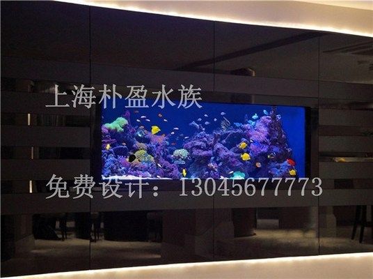 蘭州魚缸定做定制，蘭州魚缸定做哪家口碑好 魚缸百科 第1張