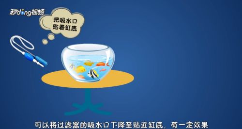 魚缸里的屎怎么弄出來，如何選擇合適的清道夫魚缸底砂的選擇與維護(hù)魚缸過濾器的正確使用減少魚食量的具體方法 魚缸百科 第6張