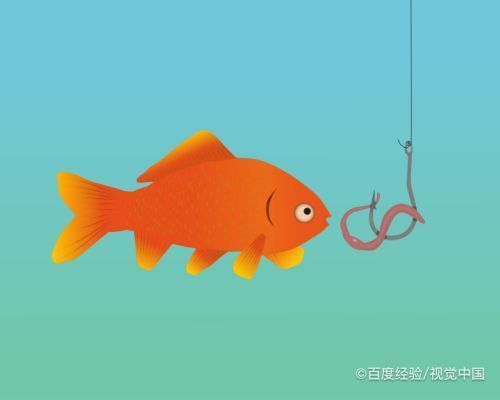 魚(yú)缸水都是泡沫怎么回事，如何減少魚(yú)缸泡沫 魚(yú)缸百科 第1張