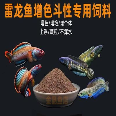 雷龍魚(yú)商都是喂什么，雷龍魚(yú)專用發(fā)色飼料效果 龍魚(yú)百科 第2張