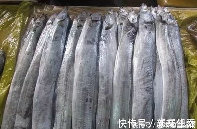 如何挑選新鮮的刀魚？，如何挑選新鮮的刀魚 觀賞魚市場（混養(yǎng)魚） 第1張