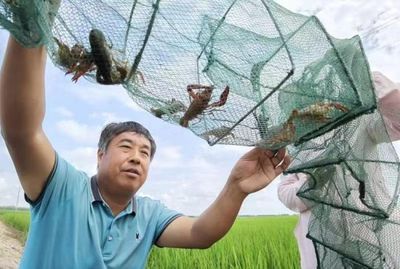 大型魚(yú)類(lèi)繁殖成本控制方法，大型魚(yú)類(lèi)繁殖成本的控制方法 觀賞魚(yú)市場(chǎng)（混養(yǎng)魚(yú)） 第3張