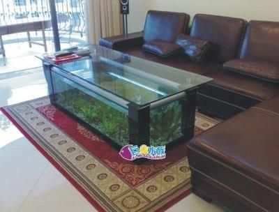 十大魚缸品牌排行榜，魚缸品牌歷史沿革水族用品市場趨勢分析十大魚缸品牌排行榜 魚缸百科 第1張