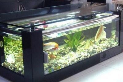 十大魚缸品牌排行榜，魚缸品牌歷史沿革水族用品市場趨勢分析十大魚缸品牌排行榜 魚缸百科 第5張