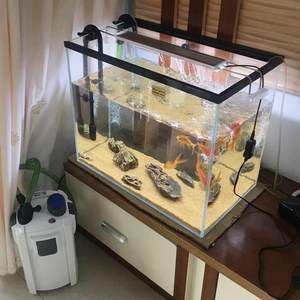 森森魚缸he800過(guò)濾不干凈，如何正確維護(hù)森森魚缸he800he800魚缸過(guò)濾系統(tǒng)改造指南 魚缸百科 第6張