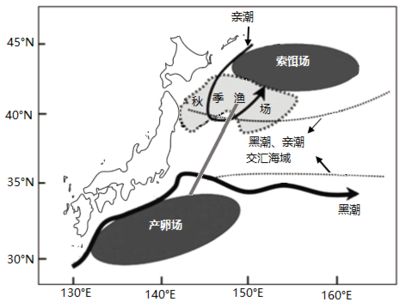 刀魚價格季節(jié)性波動規(guī)律，刀魚捕撈技術(shù)介紹 觀賞魚市場（混養(yǎng)魚） 第2張