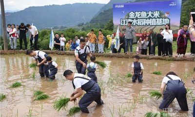 金龍魚(yú)種植基地電話 龍魚(yú)百科 第3張