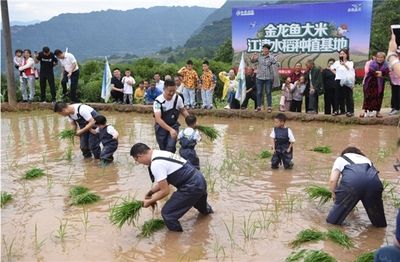 金龍魚(yú)種植基地電話 龍魚(yú)百科 第2張