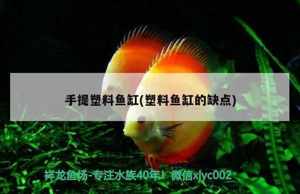 塑料魚缸優(yōu)缺點，塑料魚缸與玻璃魚缸對比如何延長塑料魚缸壽命 魚缸百科 第4張