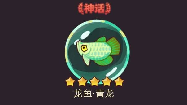 龍魚(yú)青龍屬性解析，《咸魚(yú)之王》關(guān)羽搭配龍魚(yú)青龍攻略關(guān)羽搭配龍魚(yú)青龍攻略