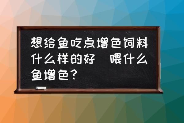 銀版魚(yú)活餌投喂技巧，如何正確使用銀版魚(yú)活餌 觀賞魚(yú)市場(chǎng)（混養(yǎng)魚(yú)） 第1張