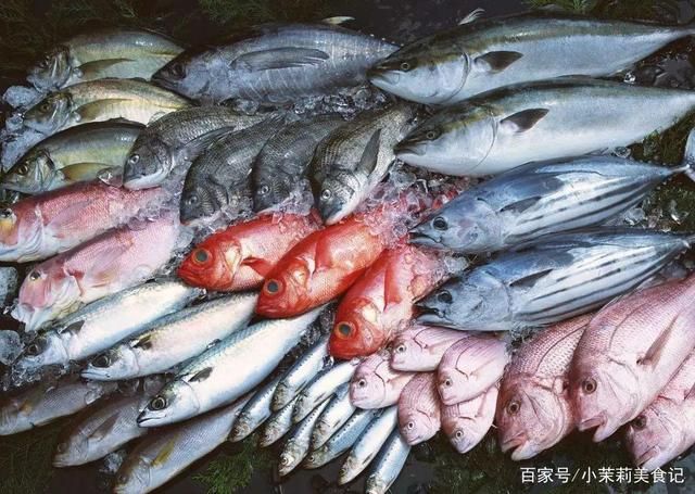 刀魚(yú)與其他魚(yú)類(lèi)營(yíng)養(yǎng)比較，刀魚(yú)與其他常見(jiàn)魚(yú)類(lèi)在營(yíng)養(yǎng)成分上有什么區(qū)別？ 魚(yú)缸百科 第3張