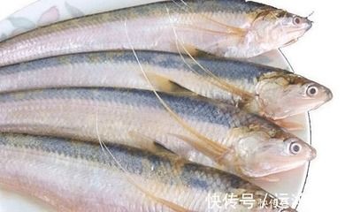 刀魚(yú)與其他魚(yú)類(lèi)營(yíng)養(yǎng)比較，刀魚(yú)與其他常見(jiàn)魚(yú)類(lèi)在營(yíng)養(yǎng)成分上有什么區(qū)別？ 魚(yú)缸百科 第5張