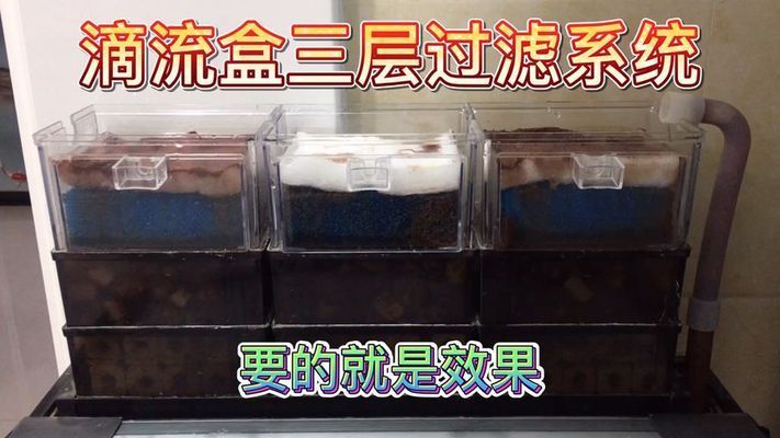 靖童魚缸，靖童魚缸怎么樣？ 魚缸百科 第2張