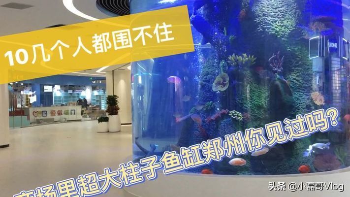 靖童魚缸，靖童魚缸怎么樣？ 魚缸百科 第4張