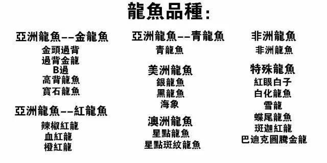 龍魚一共有幾個(gè)品種啊，亞洲龍魚、美洲龍魚、澳洲龍魚、非洲龍魚、非洲龍魚的區(qū)別