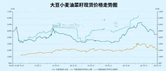 金龍魚成本控制新策略，金龍魚通過一系列成本控制新策略提升市場競爭力 觀賞魚市場（混養(yǎng)魚） 第3張