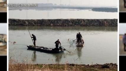 福滿鉆魚最佳生長水溫，探究福滿鉆魚的最佳生長水溫 觀賞魚市場（混養(yǎng)魚） 第5張