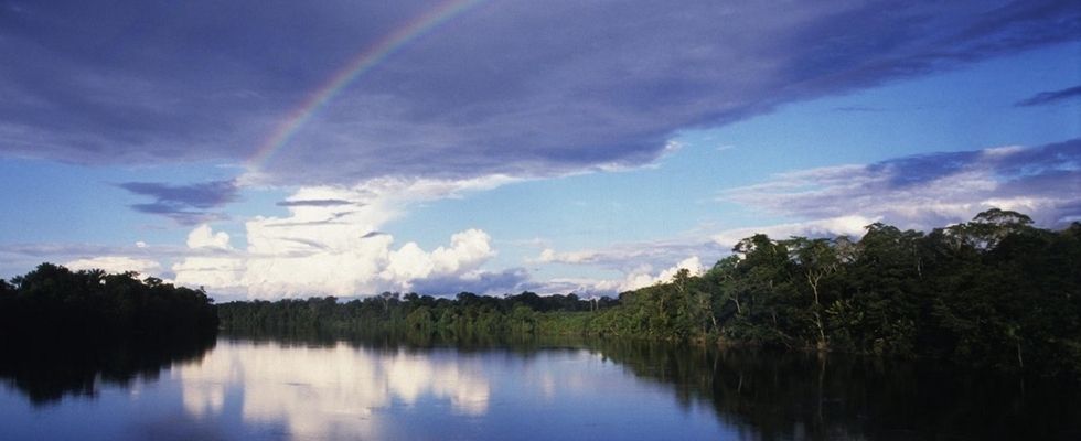 亞馬遜河保護區(qū)面積對比，世界上流量最大的河流之一亞馬遜河保護區(qū)面積超過600萬公頃 觀賞魚市場（混養(yǎng)魚） 第3張