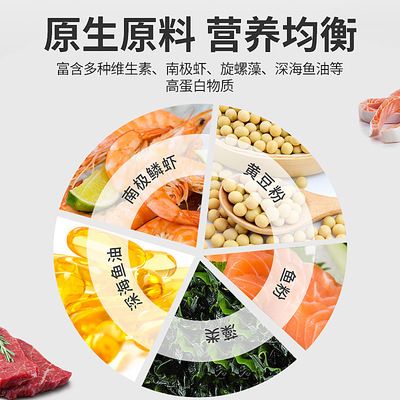 YEE品牌鯊魚飼料適用鯊魚種類，yee品牌鯊魚飼料 觀賞魚市場(chǎng)（混養(yǎng)魚） 第5張