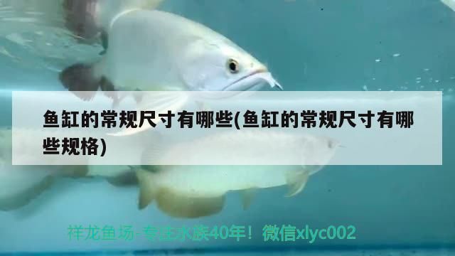 魚缸過濾器怎樣安裝視頻教程圖解大全，如何正確安裝魚缸過濾器 魚缸百科 第6張