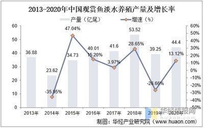 巴西觀賞魚市場競爭力分析，全球觀賞魚市場規(guī)模在2022年達到54.98億美元 觀賞魚市場（混養(yǎng)魚） 第2張