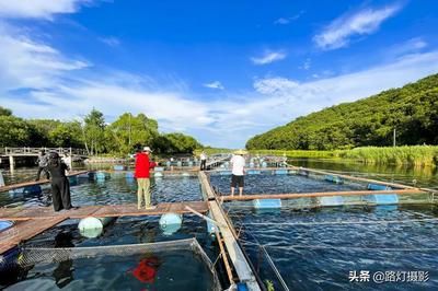 福滿鉆魚繁殖技術(shù)最新研究，福滿鉆魚繁殖技術(shù)的最新研究