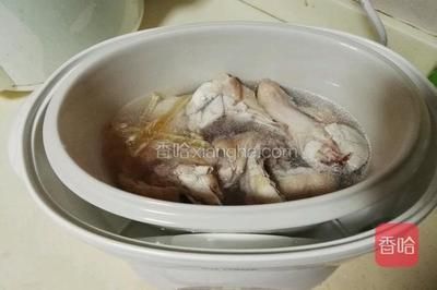 金龍魚膠燉瘦肉做法，金龍魚膠燉瘦肉怎么做 龍魚百科 第5張