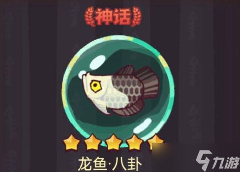 龍魚哪里買，線上購(gòu)買龍魚可以通過(guò)多種途徑進(jìn)行以下幾種途徑進(jìn)行 龍魚百科 第2張