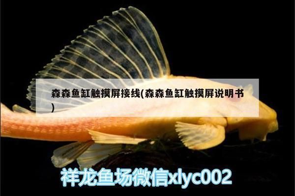 森森魚(yú)缸顯示屏線(xiàn)在哪兒插，如何清潔魚(yú)缸顯示屏 魚(yú)缸百科 第4張